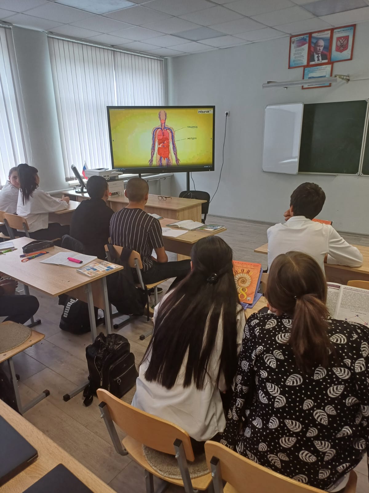 Биология 9 класс. Тема: &amp;quot;Мышечная система человека&amp;quot;.