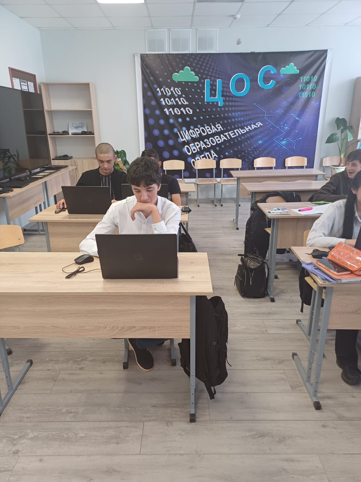 &amp;quot;Юный эколог&amp;quot;-Городские  экосистемы. 8-9 класс ..